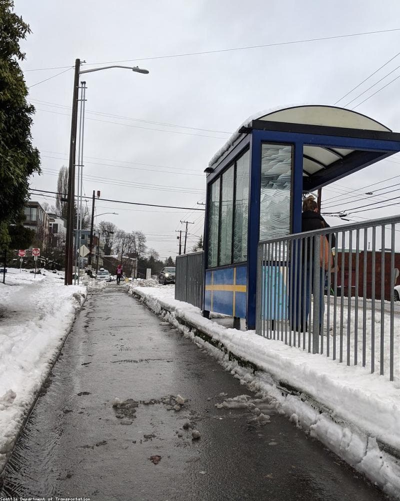 Snow Removal Service